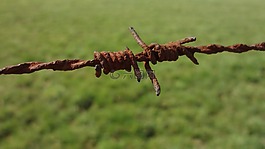 不銹鋼,籬笆,鐵絲網(wǎng)