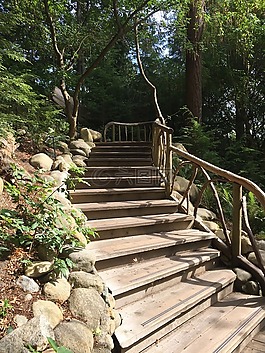 自然,樓梯,荒野