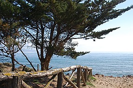 側(cè),景觀,海灘