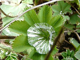 性質(zhì),廠,綠色