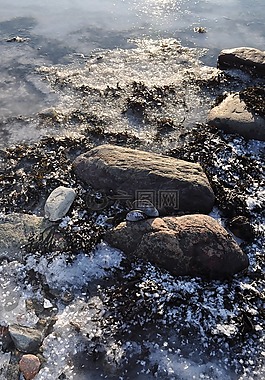 弗羅斯特,海灘,冰