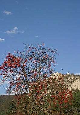 秋天的心情,schambachtal,riedenburg
