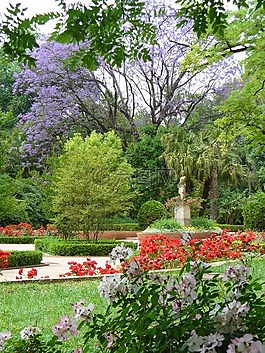 公園,園林植物,性質(zhì)