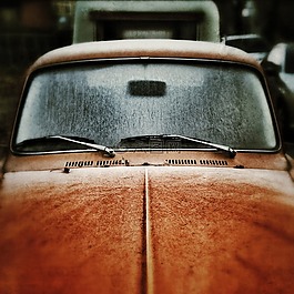 汽車,車輛,公園