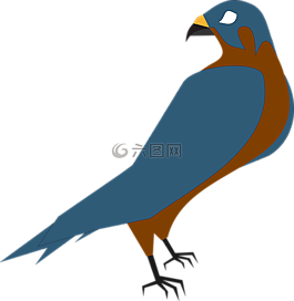 獵鷹,捕食鳥(niǎo),鳥(niǎo)