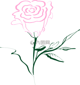 玫瑰,粉紅色,花