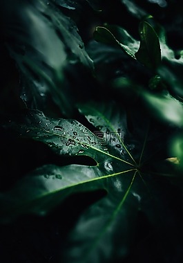自然,水華,開花