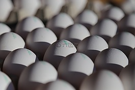 蛋,雞蛋,食品