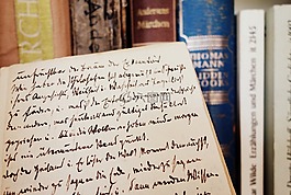 本書,圖書,文學