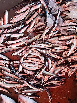 魚(yú),食品,海鮮