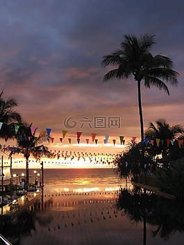 心情,棕櫚樹(shù),泰國(guó)