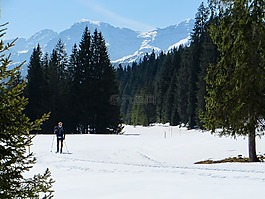 滑雪,越野滑雪,冬天
