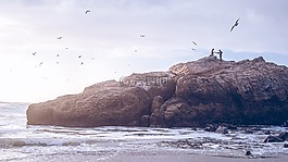 海,海洋,水