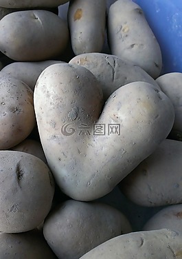 馬鈴薯,心臟,蔬菜