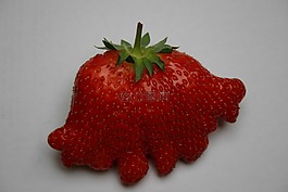 草莓,水果,紅色