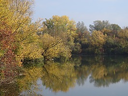 阿特巴赫,年龄neckararm,秋季