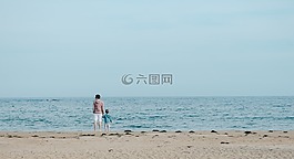 海,海洋,水