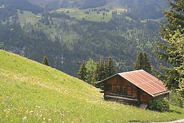小屋,機艙,山寨
