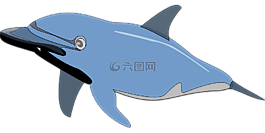 海豚,魚,哺乳動物
