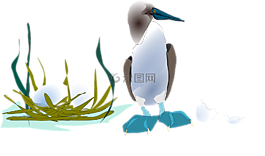 鴨,巢,雞蛋