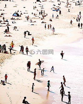 海,海洋,水