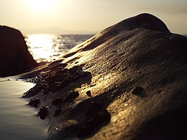 海灘,巖,水