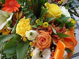 花卉,束鮮花,春天