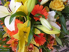 花卉,束鮮花,春天