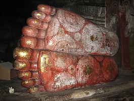 斯里蘭卡,腳,躺在被害