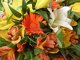 花卉,束鮮花,春天
