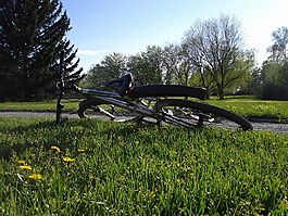 自行車,草坪,草