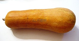 南瓜,秋季,生產(chǎn)