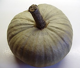 南瓜,秋季,生產(chǎn)