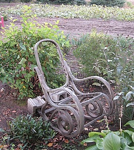 扶手椅,花園,秋天