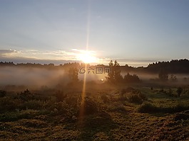 自然,上午,陽光