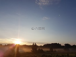 自然,上午,陽光