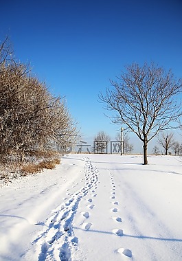 芝加哥,冬天,雪