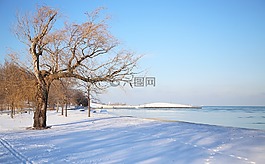 芝加哥,雪,水