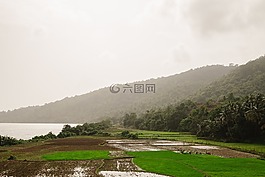 山,高原,作物