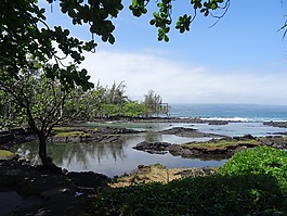 夏威夷,海,海洋