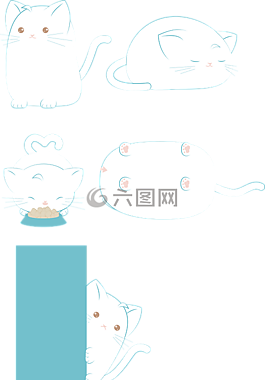 貓,白色的貓,白色
