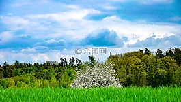 可以,戲劇,戲劇性的天空