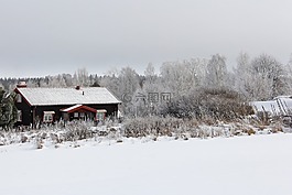 全白,封面,雪