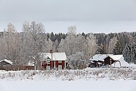 全白,封面,雪