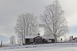 全白,封面,雪