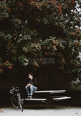 樹(shù),植物,目睹