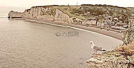 海灘,法國,鷗