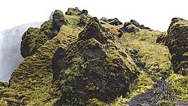 冷,雾,山