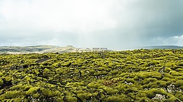 山,綠色,苔