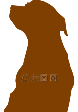 狗,側影,動物